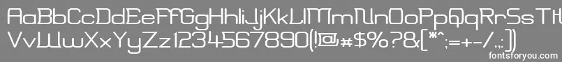 ErinalWide Font – White Fonts on Gray Background