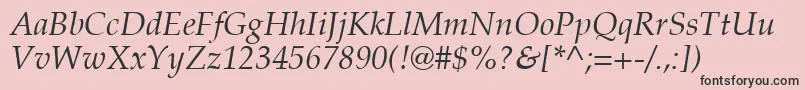 PalatinoРљСѓСЂСЃРёРІ Font – Black Fonts on Pink Background