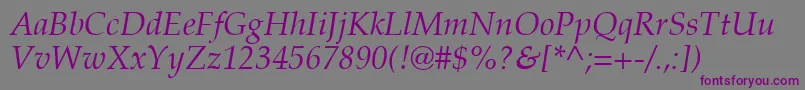 PalatinoРљСѓСЂСЃРёРІ Font – Purple Fonts on Gray Background