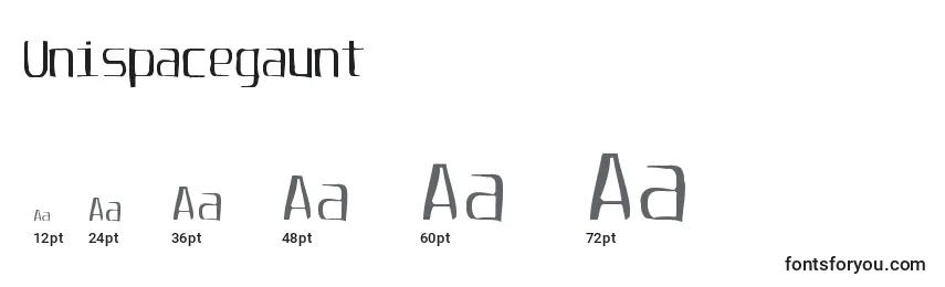 Unispacegaunt Font Sizes