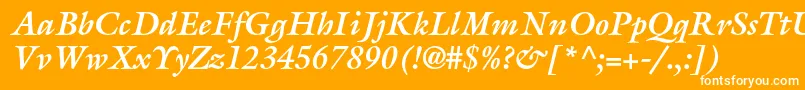 フォントGalliardstdBolditalic – オレンジの背景に白い文字