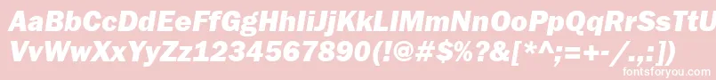 FranklingothheavybttItalic Font – White Fonts on Pink Background