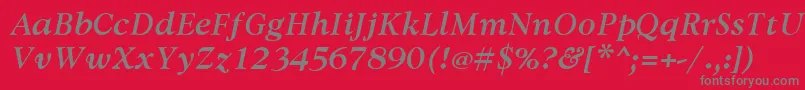 フォントAvdiraBoldItalic – 赤い背景に灰色の文字
