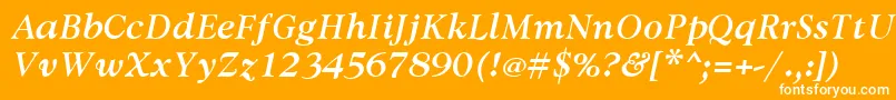 Шрифт AvdiraBoldItalic – белые шрифты на оранжевом фоне