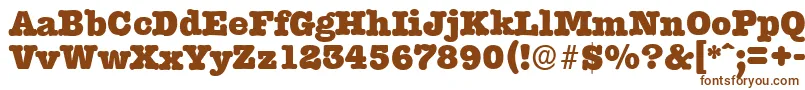 TypewriterserialHeavyRegular Font – Brown Fonts