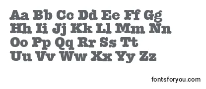 TypewriterserialHeavyRegular Font