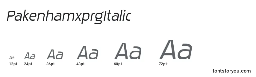 Размеры шрифта PakenhamxprgItalic