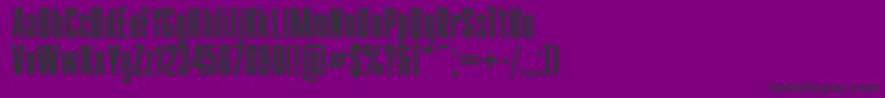 SanasoftCompact.Kz Font – Black Fonts on Purple Background