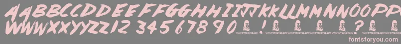 PaintedLady Font – Pink Fonts on Gray Background