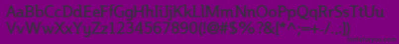 Steinem Font – Black Fonts on Purple Background