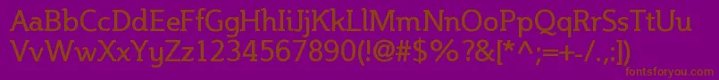 Steinem Font – Brown Fonts on Purple Background