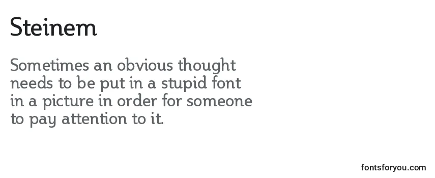 Review of the Steinem Font
