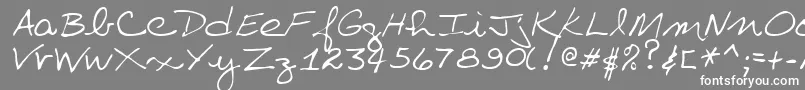 VillaRegular Font – White Fonts on Gray Background