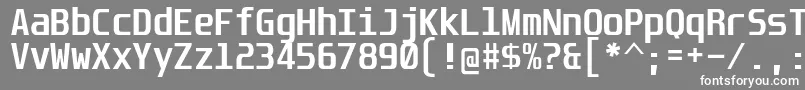 UnispaceBd Font – White Fonts on Gray Background
