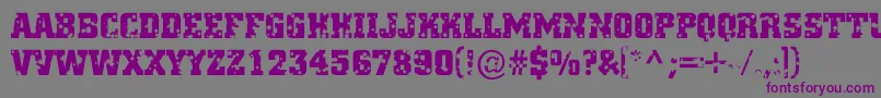 Cityn22 Font – Purple Fonts on Gray Background