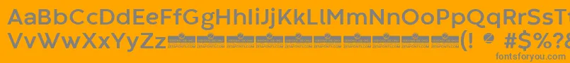 CodecWarmBoldTrial Font – Gray Fonts on Orange Background