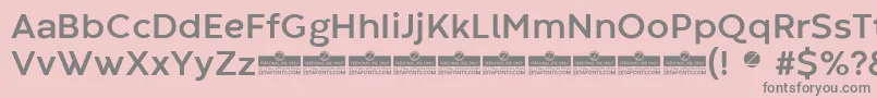 CodecWarmBoldTrial Font – Gray Fonts on Pink Background