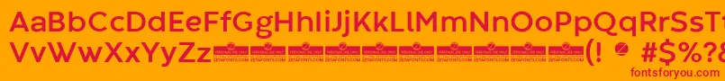 CodecWarmBoldTrial Font – Red Fonts on Orange Background