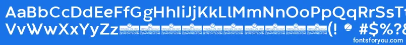 CodecWarmBoldTrial Font – White Fonts on Blue Background