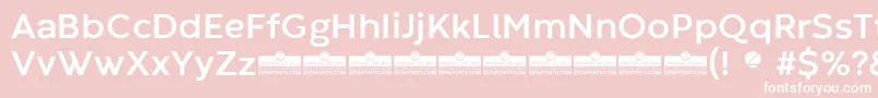 CodecWarmBoldTrial Font – White Fonts on Pink Background