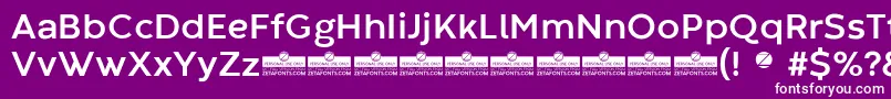 CodecWarmBoldTrial Font – White Fonts on Purple Background