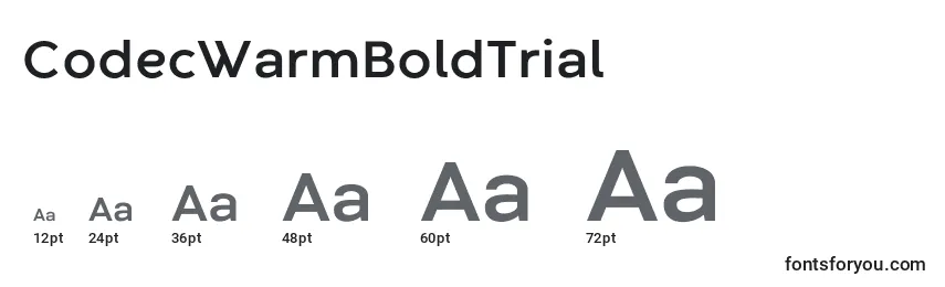 CodecWarmBoldTrial Font Sizes