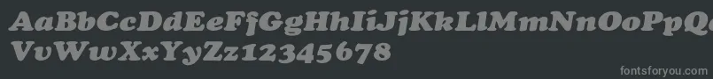 Más sobre la fuente CooperextHeavyItalic fuente CooperextHeavyItalic – Fuentes Grises Sobre Fondo Negro