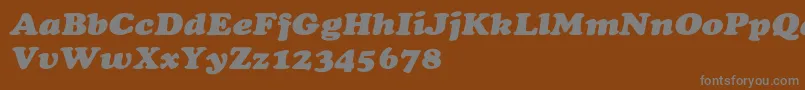 Lisätietoja CooperextHeavyItalic-fontista CooperextHeavyItalic-fontti – harmaat kirjasimet ruskealla taustalla
