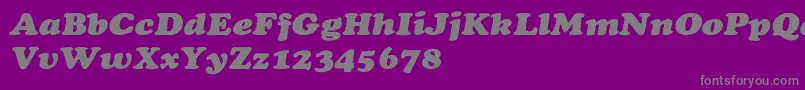 CooperextHeavyItalic-fontti – harmaat kirjasimet violetilla taustalla