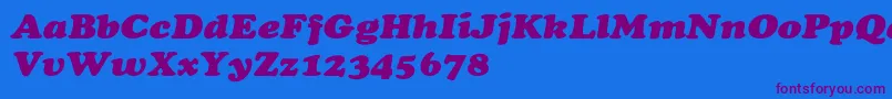 CooperextHeavyItalic Font – Purple Fonts on Blue Background