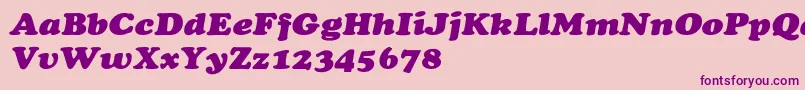 CooperextHeavyItalic Font – Purple Fonts on Pink Background