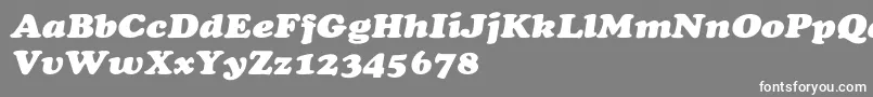 Czcionka CooperextHeavyItalic – białe czcionki na szarym tle