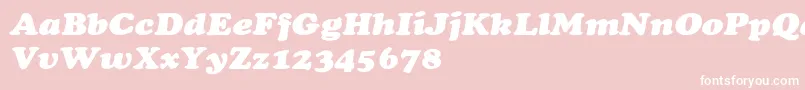 CooperextHeavyItalic Font – White Fonts on Pink Background