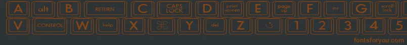 KeyboardKeyswdWide Font – Brown Fonts on Black Background