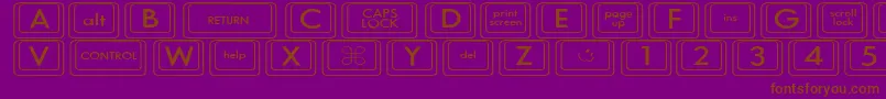 KeyboardKeyswdWide Font – Brown Fonts on Purple Background