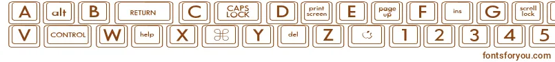 フォントKeyboardKeyswdWide – 白い背景に茶色のフォント