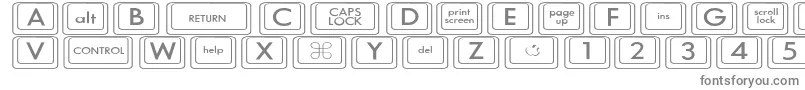 フォントKeyboardKeyswdWide – 白い背景に灰色の文字