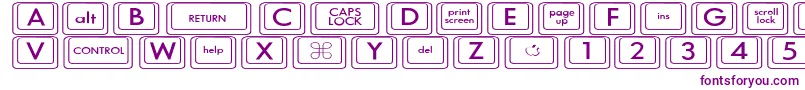 KeyboardKeyswdWide-fontti – violetit fontit valkoisella taustalla