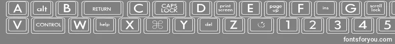 Шрифт KeyboardKeyswdWide – белые шрифты на сером фоне