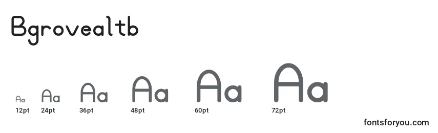 Bgrovealtb (33980) Font Sizes