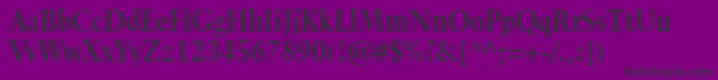 TrumpetliteBold-Schriftart – Schwarze Schriften auf violettem Hintergrund