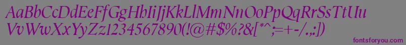 SemperItalic-fontti – violetit fontit harmaalla taustalla