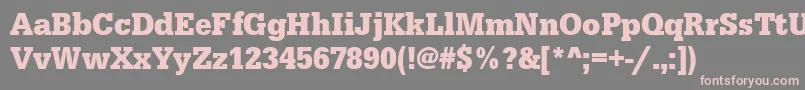 Подробнее о шрифте UrwegyptiennetextnarBold Шрифт UrwegyptiennetextnarBold – розовые шрифты на сером фоне