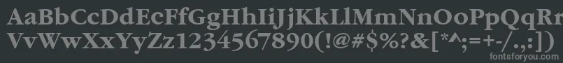 フォントGaramonditcteeBold – 黒い背景に灰色の文字