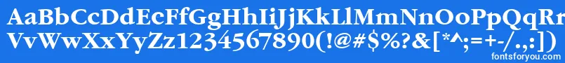 Czcionka GaramonditcteeBold – białe czcionki na niebieskim tle