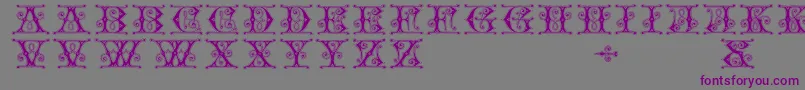 Gingerbread-Schriftart – Violette Schriften auf grauem Hintergrund