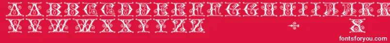 Gingerbread Font – White Fonts on Red Background