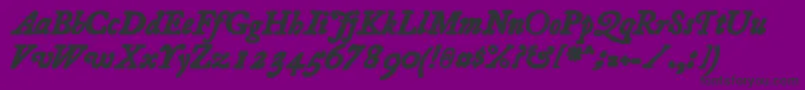 Essays1743BoldItalic Font – Black Fonts on Purple Background