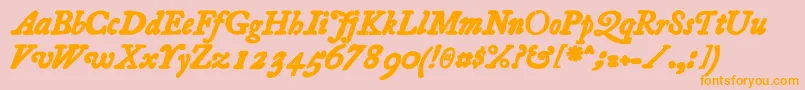 Essays1743BoldItalic Font – Orange Fonts on Pink Background