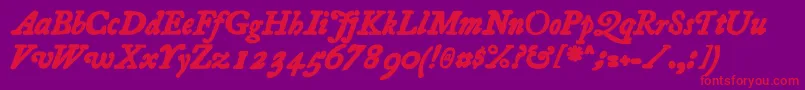 Essays1743BoldItalic Font – Red Fonts on Purple Background